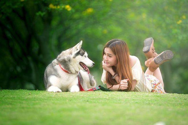 链分析：现状、痛点、需求、趋势开元ky棋牌宠物食品行业产业(图2)