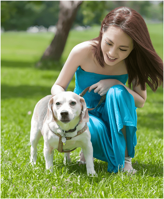 链分析：现状、痛点、需求、趋势开元ky棋牌宠物食品行业产业(图3)