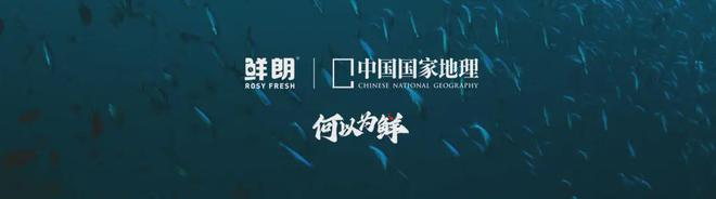 国内首个《鲜肉烘焙全价宠物食品》标准开元棋牌app从开创到引领：鲜朗发布(图15)