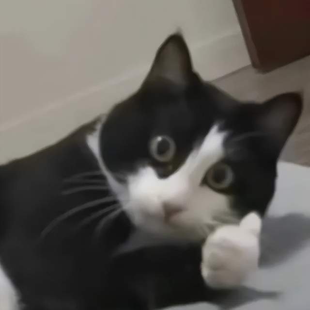 y开发者大会我看到了AI游戏的未来开元棋牌原神LOL齐聚的Unit(图7)